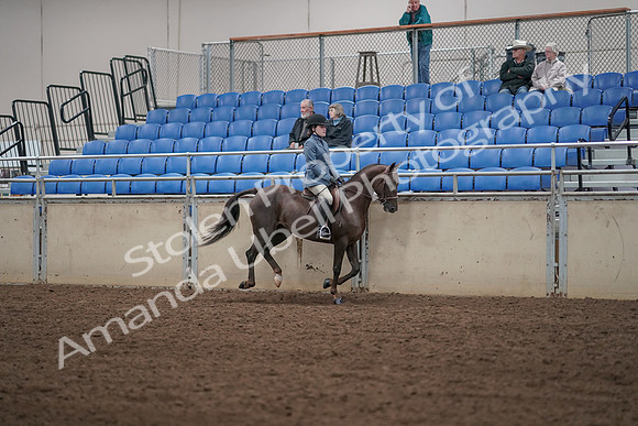 2019 Morgan Horse Show - Aug 31, 2019 - 07477