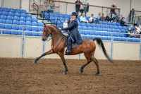 2020 - AB Morgan Horse - Sat, Sept 05 - 09697