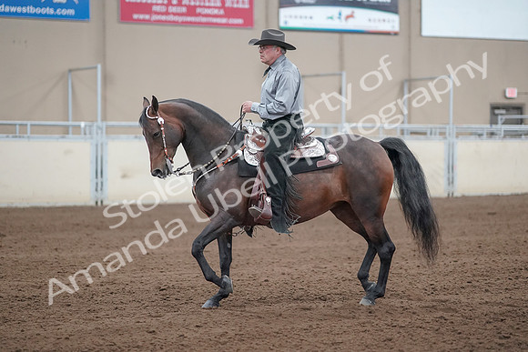 2019 Morgan Horse Show - Sept 01, 2019 - 07224