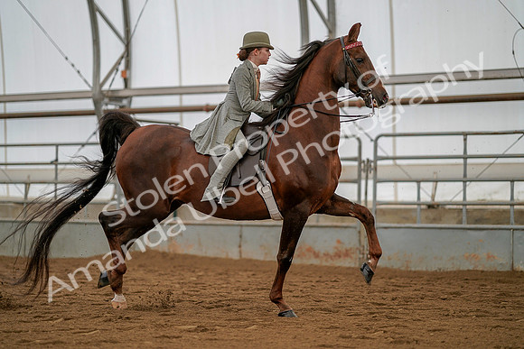 July 19, 2019 - 4049