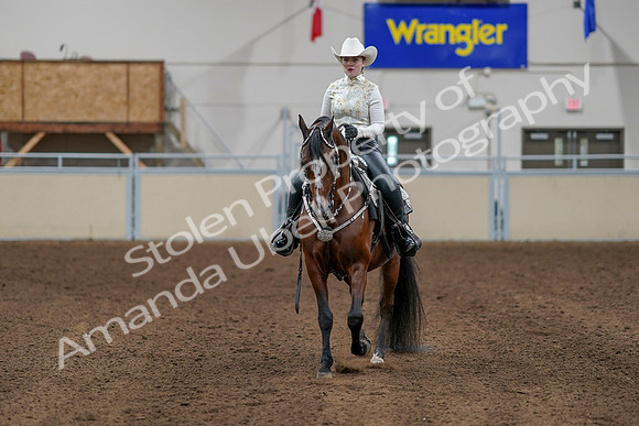 2020 - AB Morgan Horse - Sun, Sept 06 - 07610