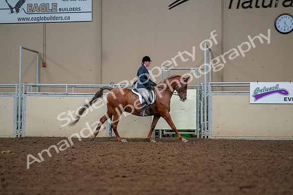 2019 Morgan Horse Show - Aug 30, 2019 - 22555