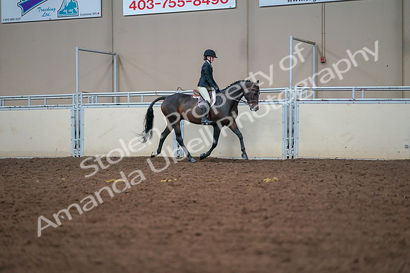 2019 Morgan Horse Show - Aug 30, 2019 - 20877