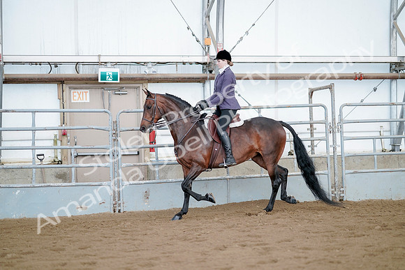 July 21, 2019 - 03113