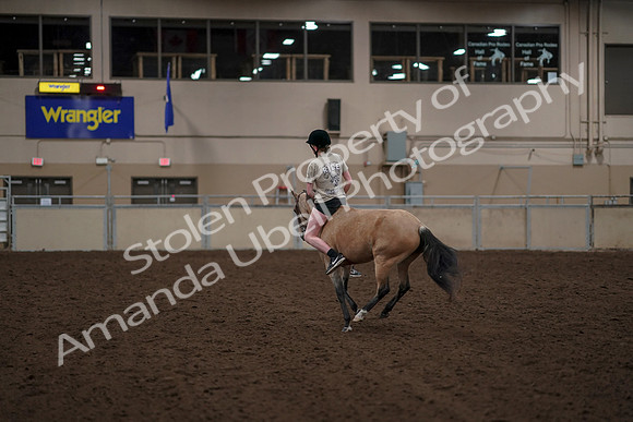 2019 Morgan Horse Show - Aug 30, 2019 - 31265
