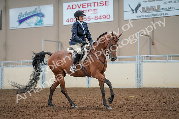 2019 Morgan Horse Show - Aug 30, 2019 - 22547