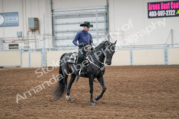 2020 - AB Morgan Horse - Sun, Sept 06 - 07621