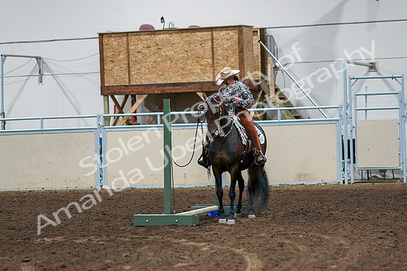 2020 - AB Morgan Horse - Fri, Sept 04 - 00360
