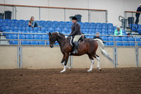 2019 Morgan Horse Show - Aug 30, 2019 - 16021
