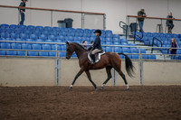 2019 Morgan Horse Show - Aug 31, 2019 - 05553