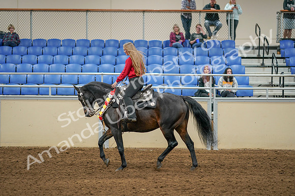 2020 - AB Morgan Horse - Sat, Sept 05 - 10377