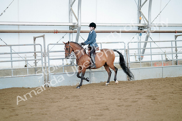 July 21, 2019 - 03119