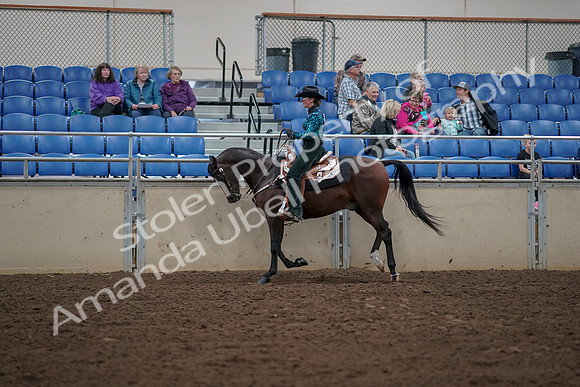 2019 Morgan Horse Show - Aug 30, 2019 - 26059