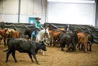 Herd Work - Novice Rein Box