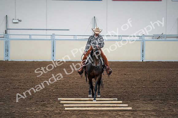 2020 - AB Morgan Horse - Fri, Sept 04 - 00434