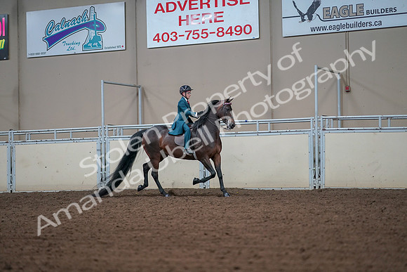 2019 Morgan Horse Show - Aug 30, 2019 - 18005