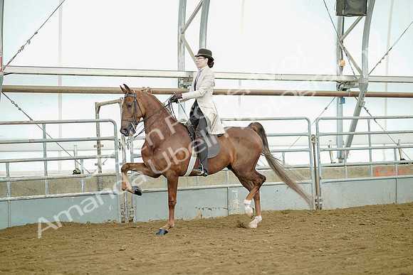 July 20, 2019 - 07745