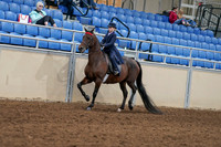 2020 - AB Morgan Horse - Fri, Sept 04 - 03622