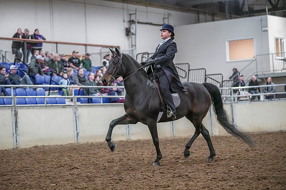 Spring Fling - Saturday - April 20, 2019  -  04100