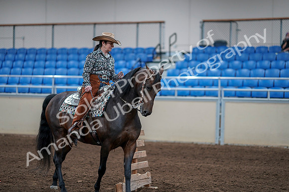 2020 - AB Morgan Horse - Fri, Sept 04 - 00388