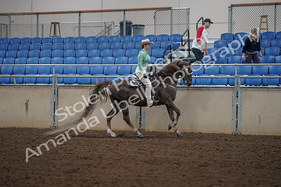 2019 Morgan Horse Show - Aug 30, 2019 - 26153