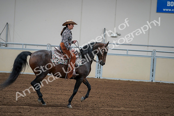 2020 - AB Morgan Horse - Fri, Sept 04 - 00336