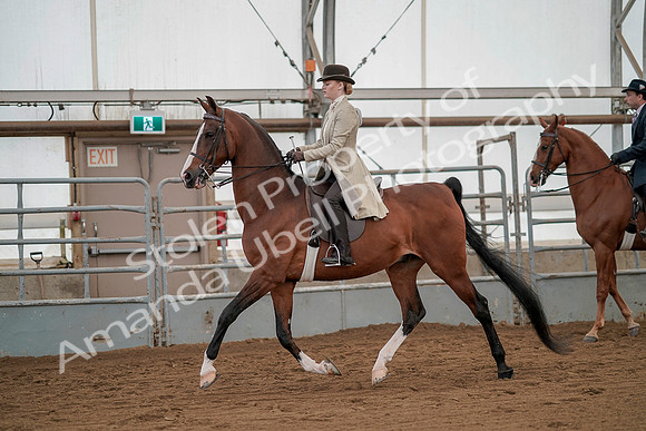July 20, 2019 - 02142