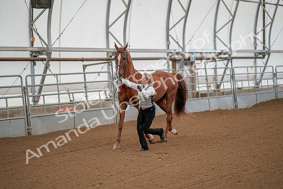 July 19, 2019 - 62