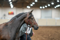 2020 - AB Morgan Horse - Sat, Sept 05 - 00732