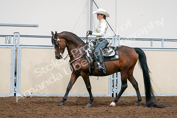 2020 - AB Morgan Horse - Sat, Sept 05 - 08983
