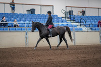 2019 Morgan Horse Show - Sept 01, 2019 - 06233