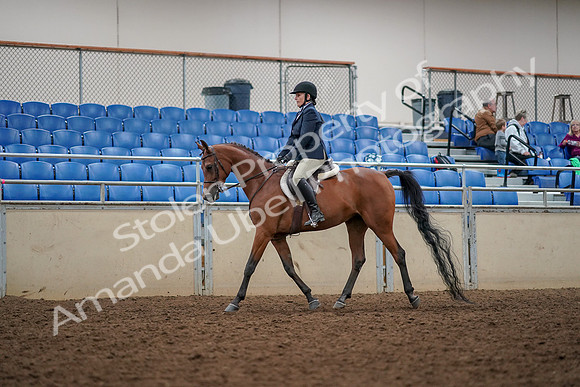 2019 Morgan Horse Show - Aug 30, 2019 - 22246