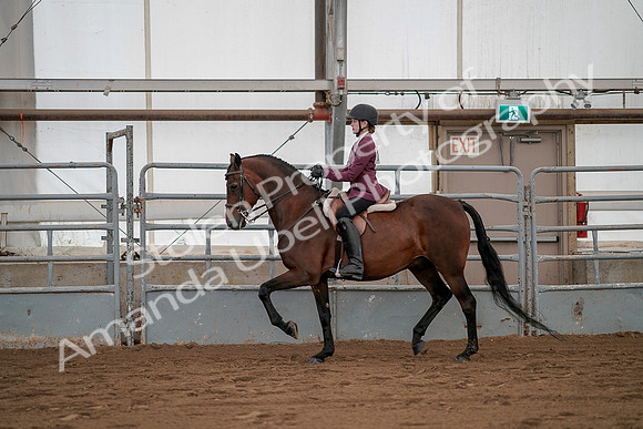 July 19, 2019 - 2597