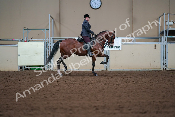 2019 Morgan Horse Show - Aug 30, 2019 - 20702