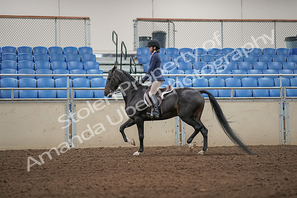 2019 Morgan Horse Show - Aug 31, 2019 - 04892