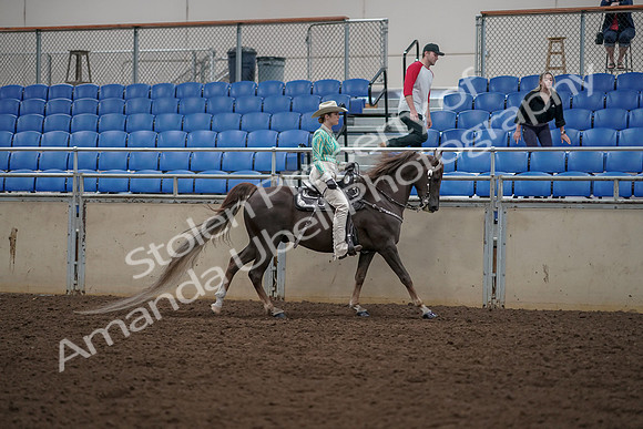 2019 Morgan Horse Show - Aug 30, 2019 - 26156