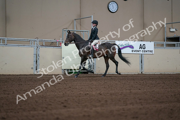 2019 Morgan Horse Show - Sept 01, 2019 - 03968
