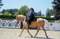 054 - HA Ranch Horse Rail Pl Junior Horse