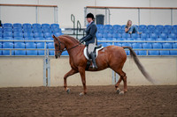 2019 Morgan Horse Show - Aug 30, 2019 - 16009