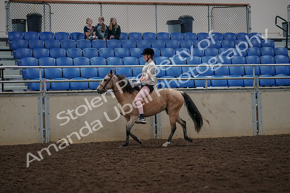 2019 Morgan Horse Show - Aug 30, 2019 - 31060