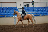 2019 Morgan Horse Show - Aug 30, 2019 - 22177