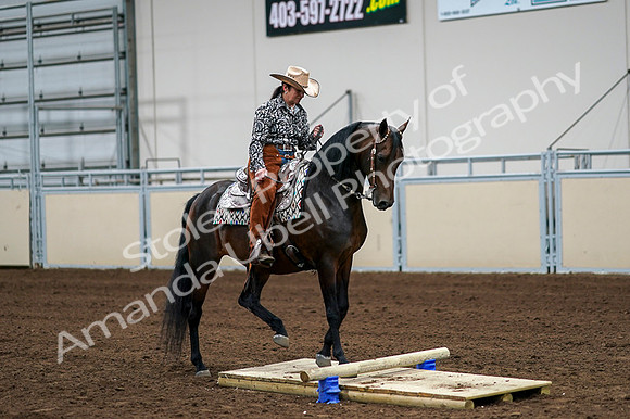 2020 - AB Morgan Horse - Fri, Sept 04 - 00315