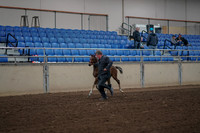 2019 Morgan Horse Show - Aug 31, 2019 - 00365