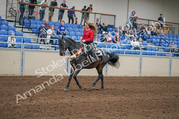 2020 - AB Morgan Horse - Sat, Sept 05 - 10452