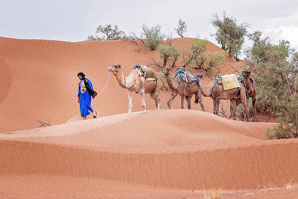 Morocco - 112