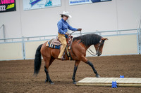 2020 - AB Morgan Horse - Fri, Sept 04 - 00010