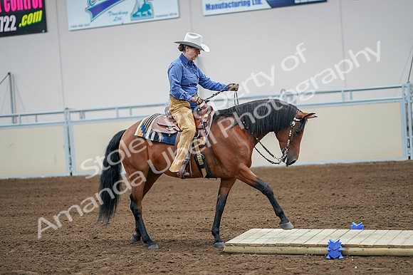 2020 - AB Morgan Horse - Fri, Sept 04 - 00010