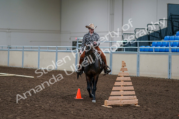 2020 - AB Morgan Horse - Fri, Sept 04 - 00378