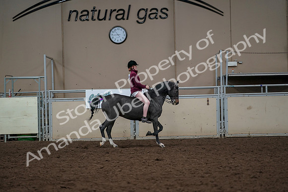 2019 Morgan Horse Show - Aug 30, 2019 - 31441