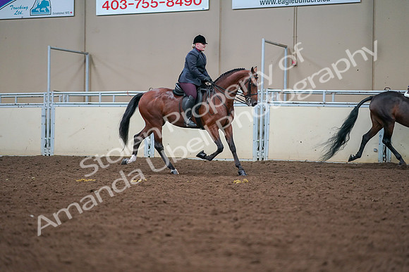 2019 Morgan Horse Show - Aug 30, 2019 - 20871